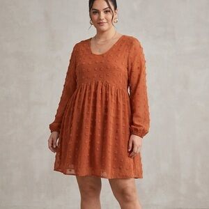 OURS BNWT Rust Textured Swiss-Dot Babydoll Dress